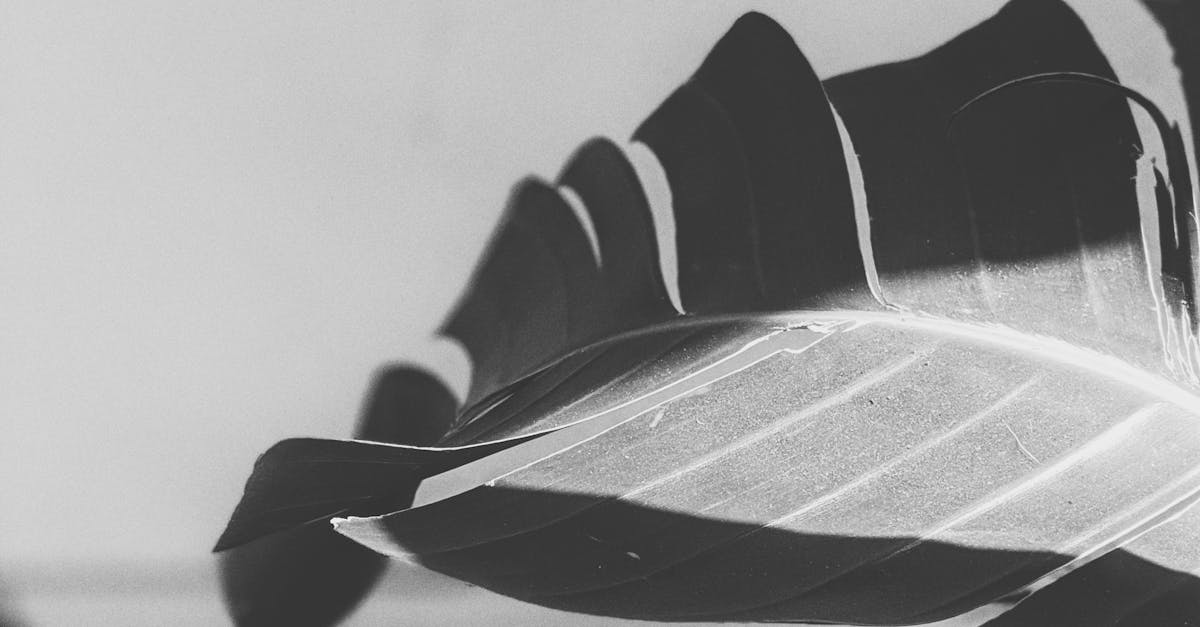 Exploring Acupuncture Centre Locations Across Melbourne's Suburbs