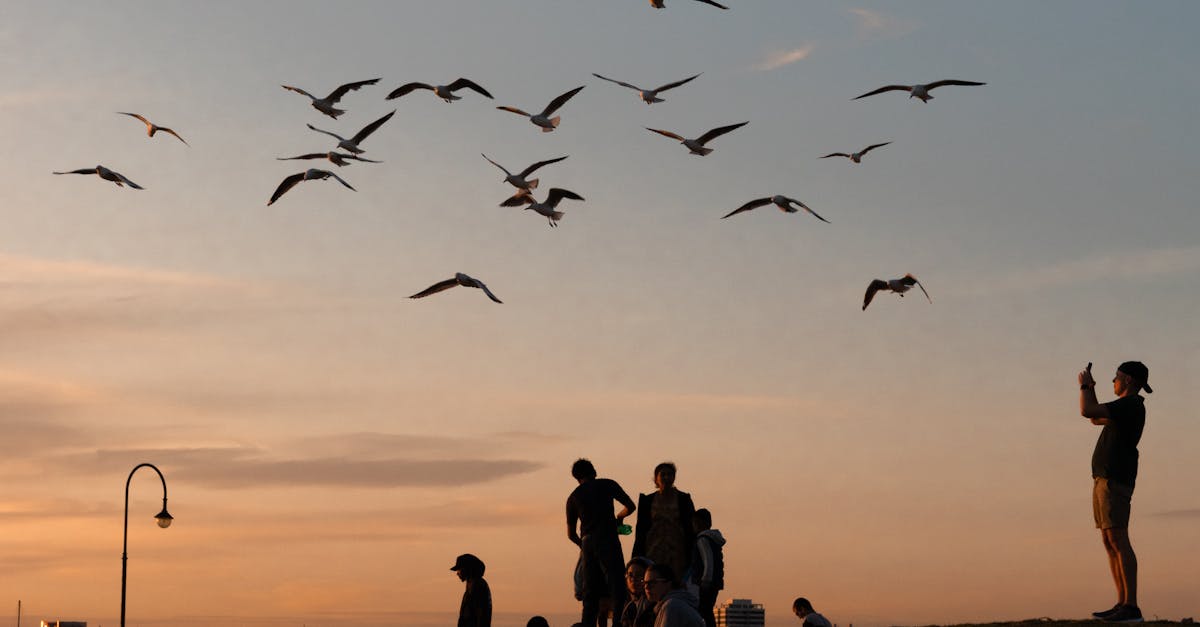 Finding Tranquility: Acupuncture Techniques for Stress Relief