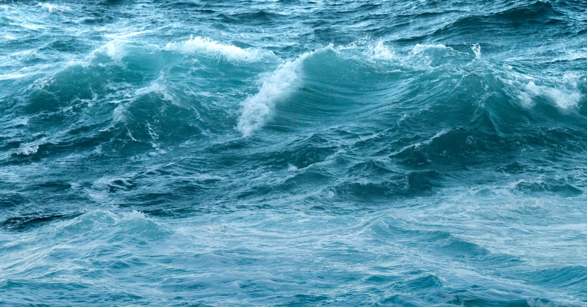 How Acupuncture Can Enhance Your Sleep Experience in Melbourne