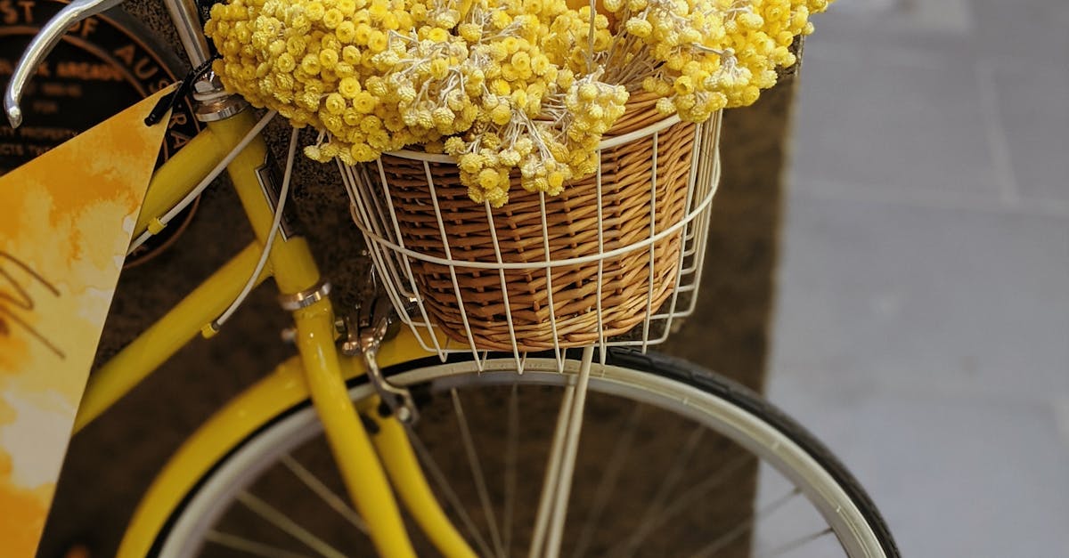 How Cupping Therapy Can Enhance Your Wellness Routine